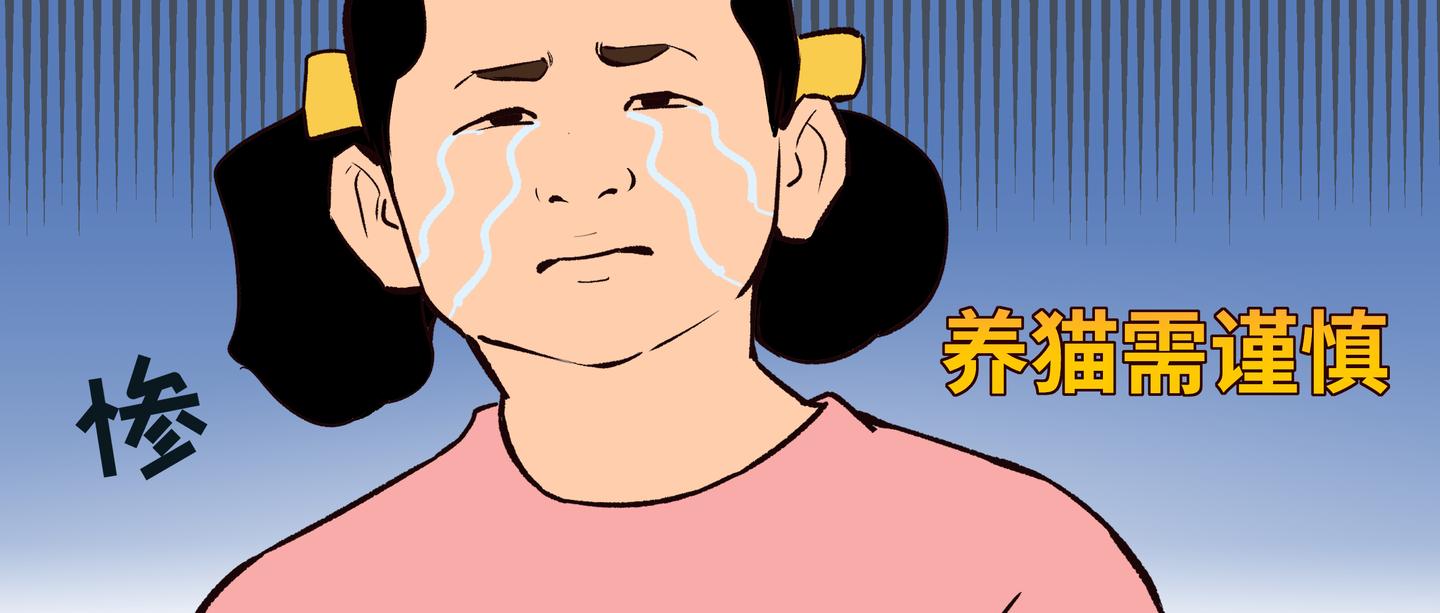 诱惑开始养猫,生活就会发生种种改变,你会发现,养猫真是太太太太惨了!