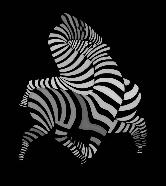 processing是干嘛的?艺术家学编程能做什么?