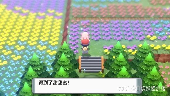 宝可梦晶灿钻石发售日期(《宝可梦晶灿钻石明亮珍珠》一周目图文攻略)  第53张