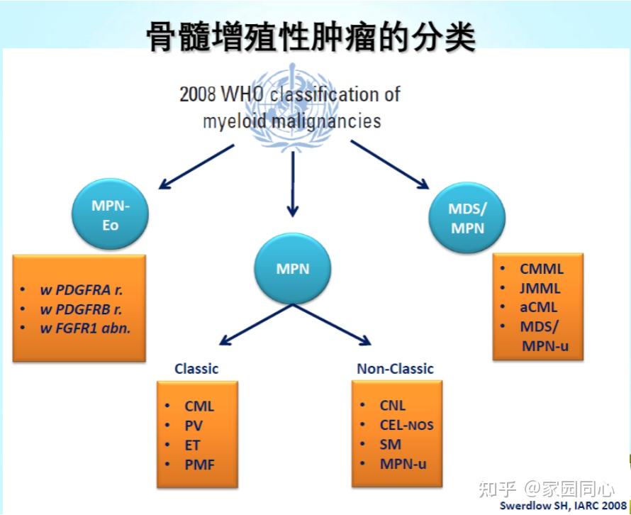 隨著對該類疾病發病機制的研究和認識的深入,2008年who新修訂的慢性髓