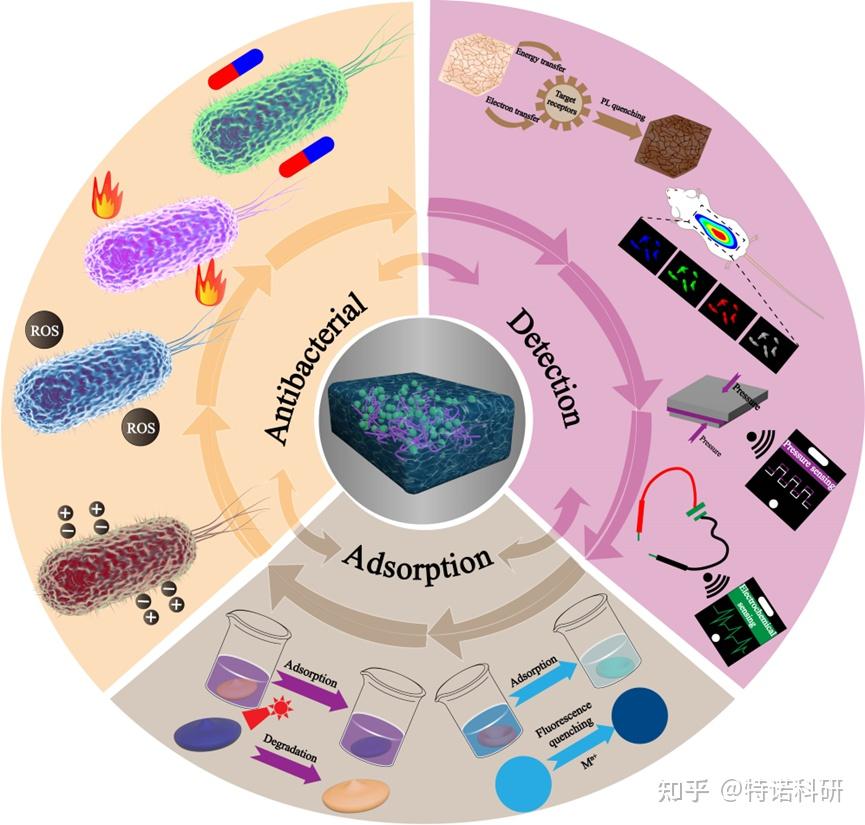 原来那些漂亮的 Cell 期刊插图可以用 AI 画出来！（附顶刊综述图赏析） - 知乎