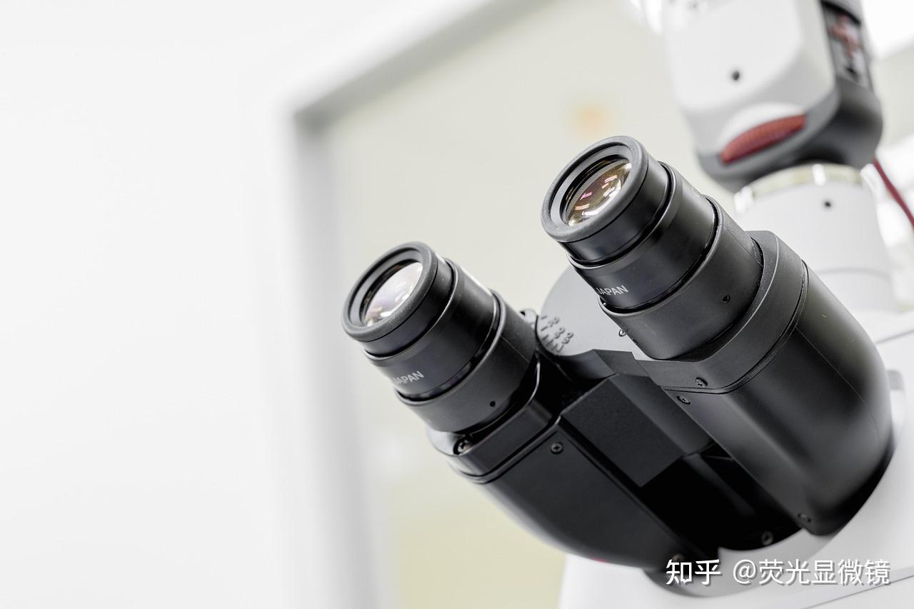 倒置荧光显微镜采购避坑指南:不同预算,怎么把钱花在刀刃上?