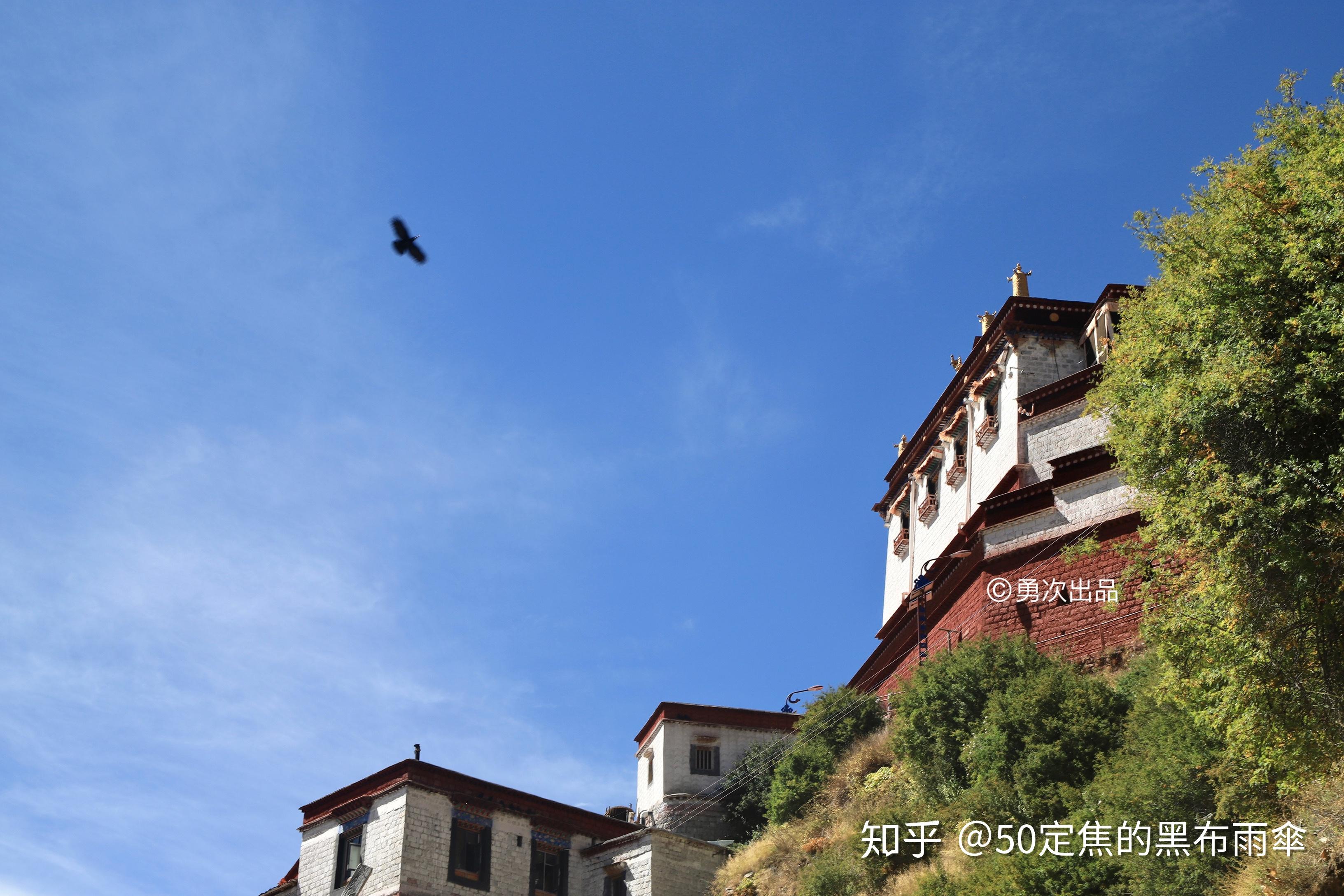 西藏之回忆,和你在直贡梯寺看天葬台 - 知乎