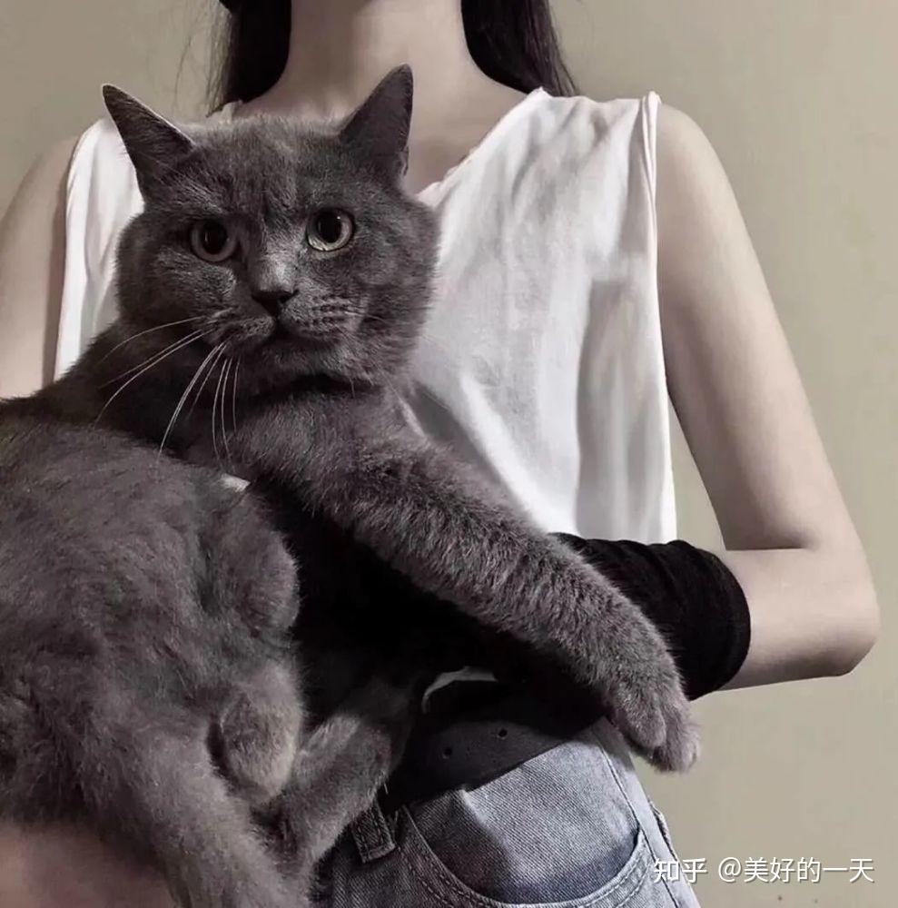 养猫人“最讨厌”听到的8句话,第二句开始就受不了了! - 知乎