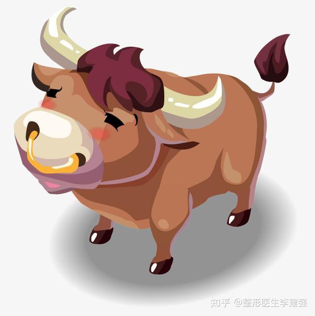 新年新头像大家有没有什么牛年头像推荐