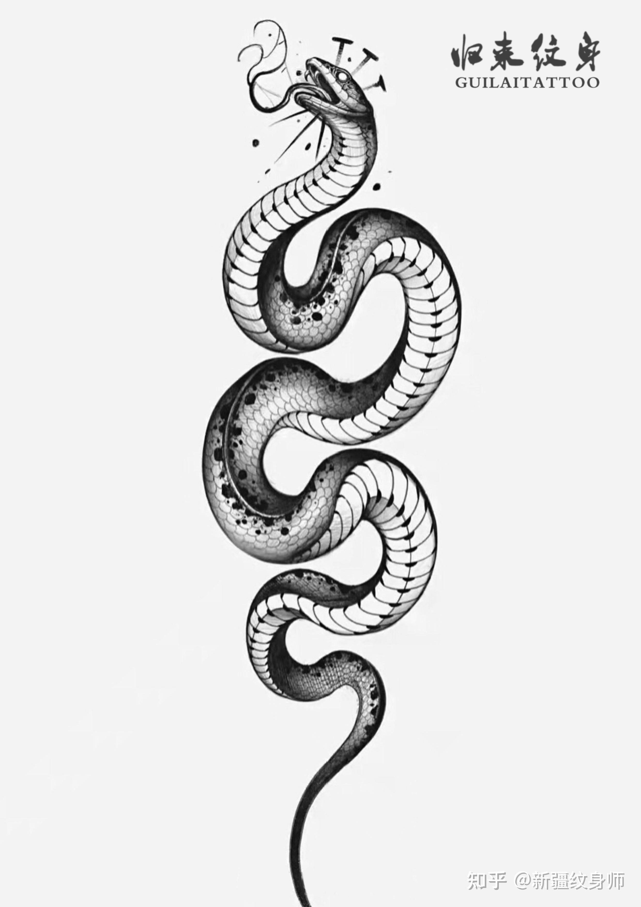 蛇纹身手稿分享