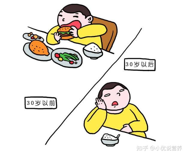 减肥：当心少吃多餐，让你越减越胖 - 知乎