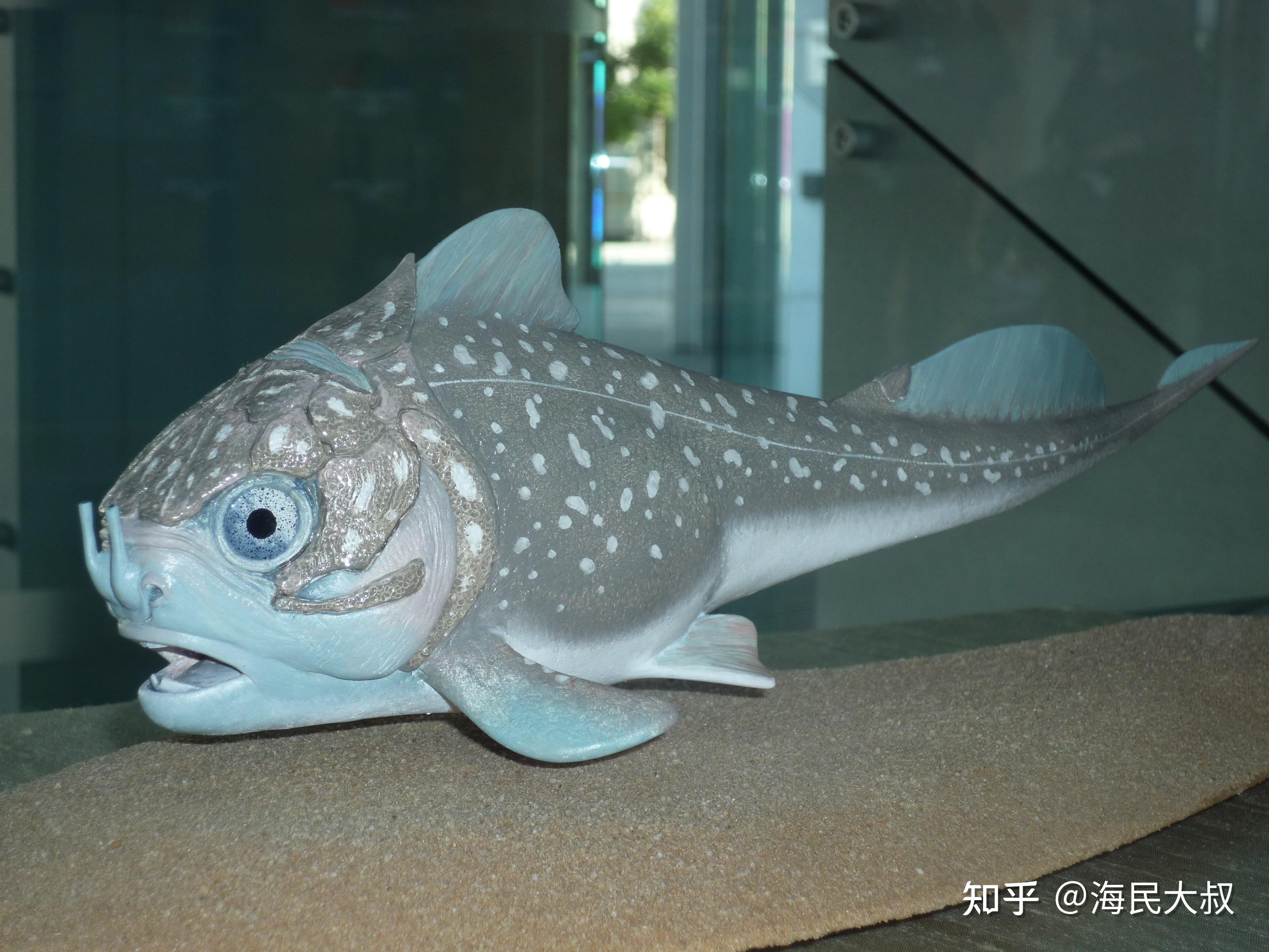 所有盾皮鱼,所有头甲鱼,艾登堡母鱼,真掌鳍鱼和提塔利克鱼等都在这次