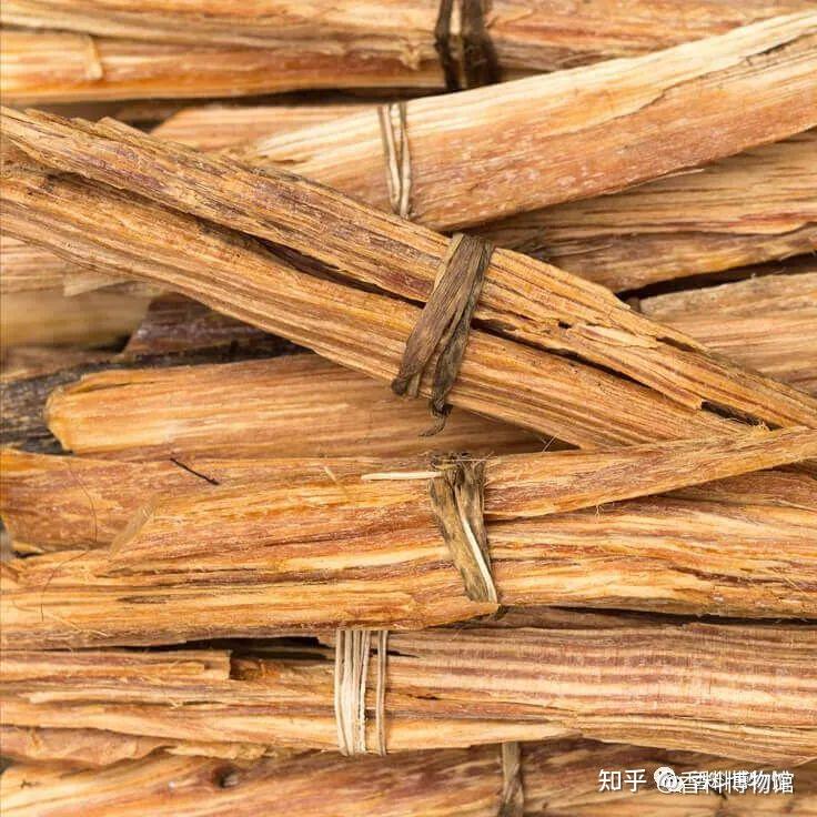 一种不神圣的神圣香料——秘鲁圣木 - 知乎