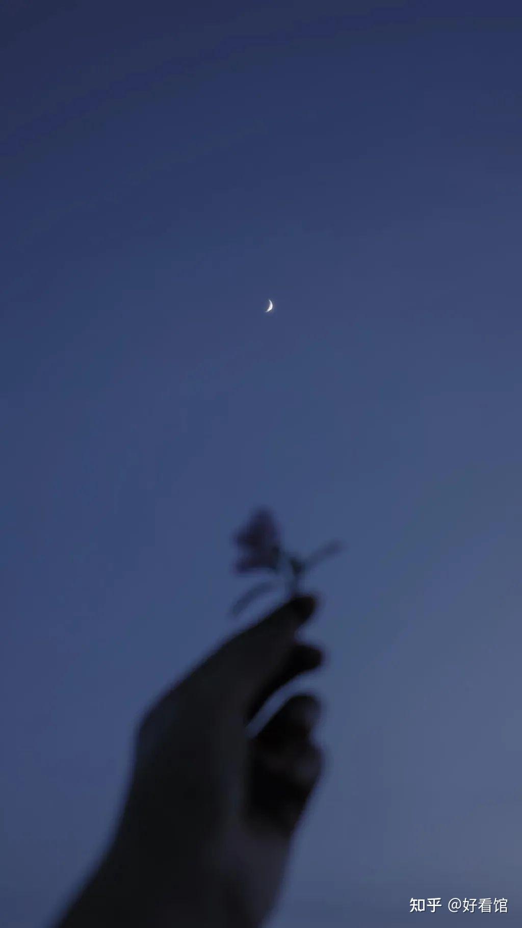 v2-c4266b48966a1729a31c24ec9dde897d_r.jpg