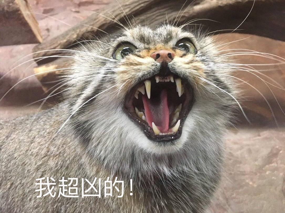 为什么拔阻生智齿的时候打了麻药还是疼的要死