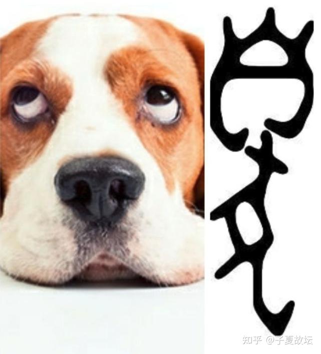 先说"臭"这个汉字,因为这个汉字的兼指意义大家比较熟悉,也容易接受.