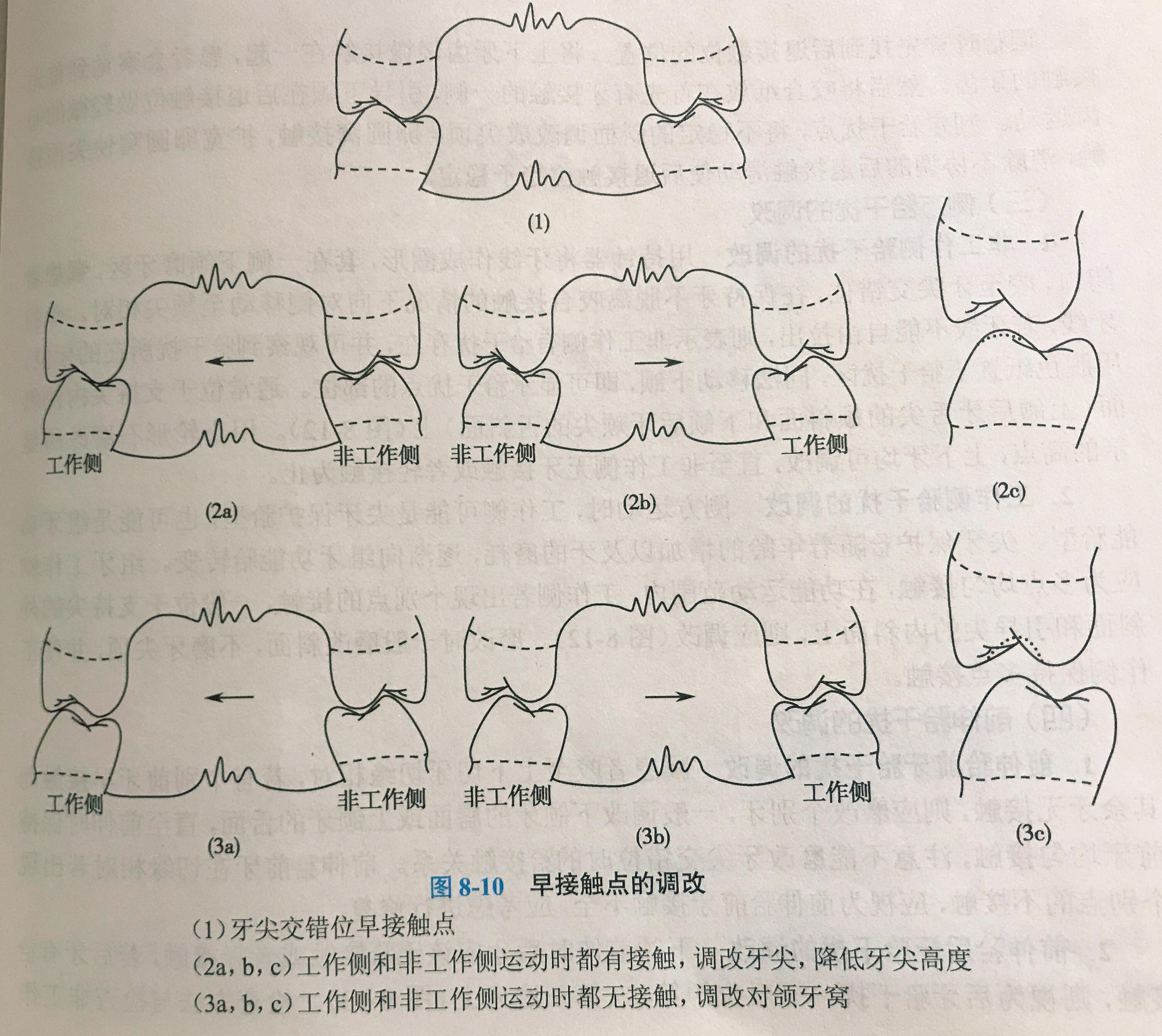 图4-97 平面-口腔颌面及颈部临床解剖学-医学