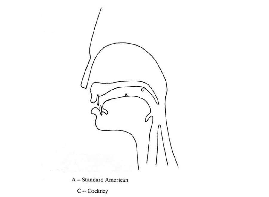 怎样才能说一口字正腔圆的伦敦音?