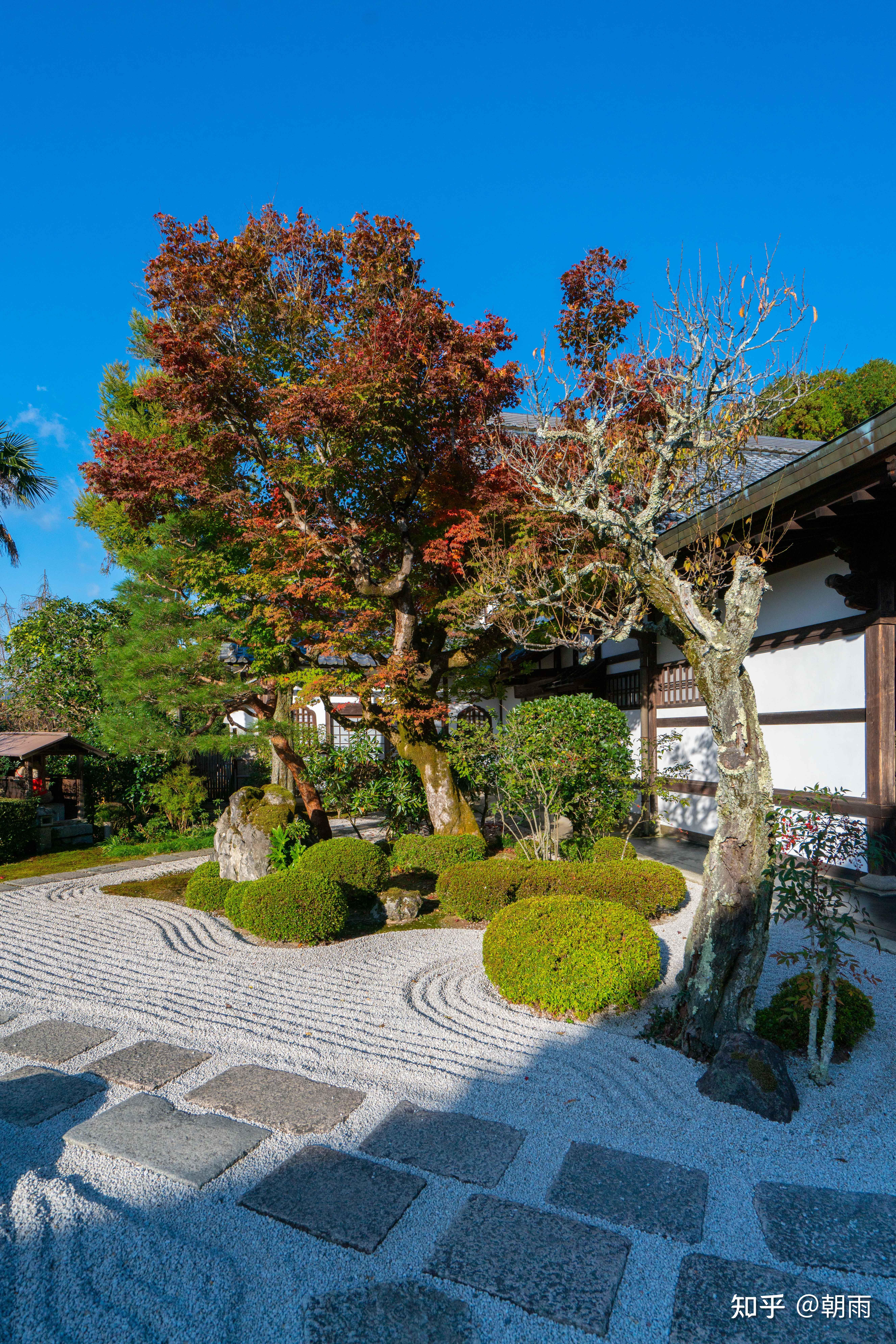 11京都圆光寺上