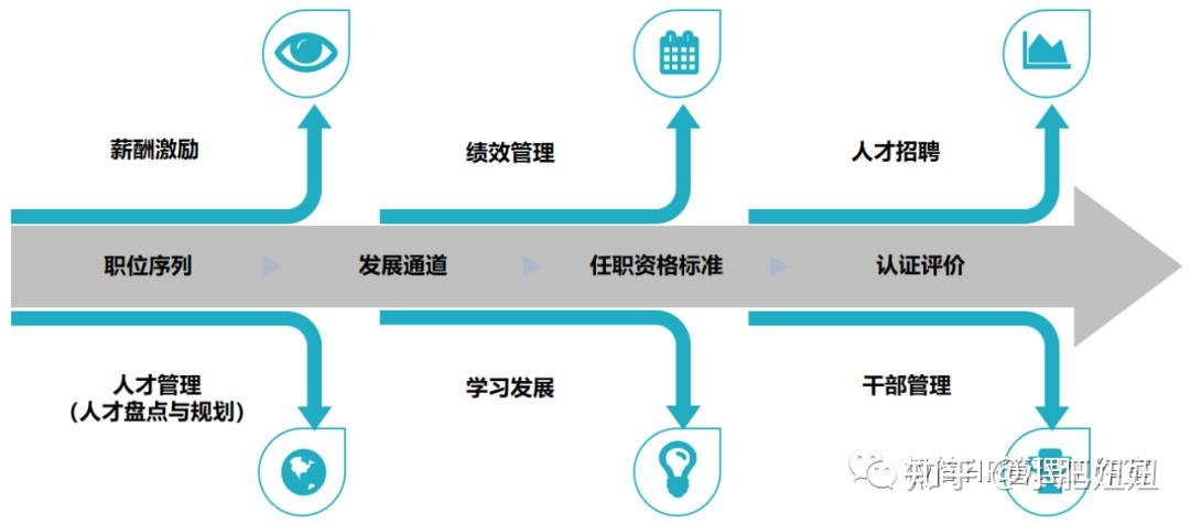 专业解析 | 以任职资格体系为核心的组织能力 - 知乎
