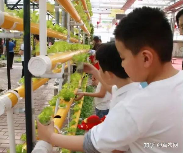 智慧种植把田园搬进家庭 - 知乎