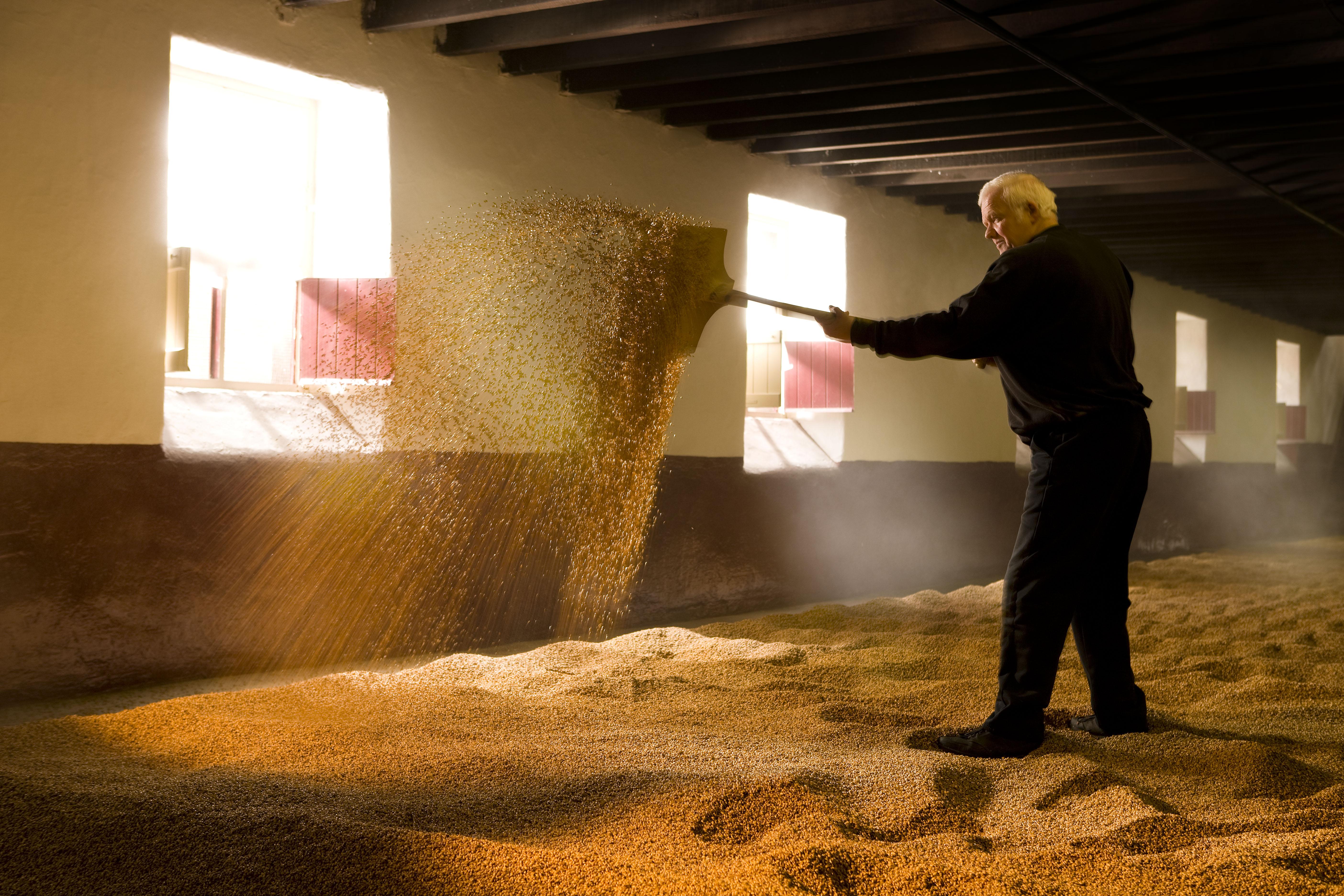 现实生活中的精神"乌托邦