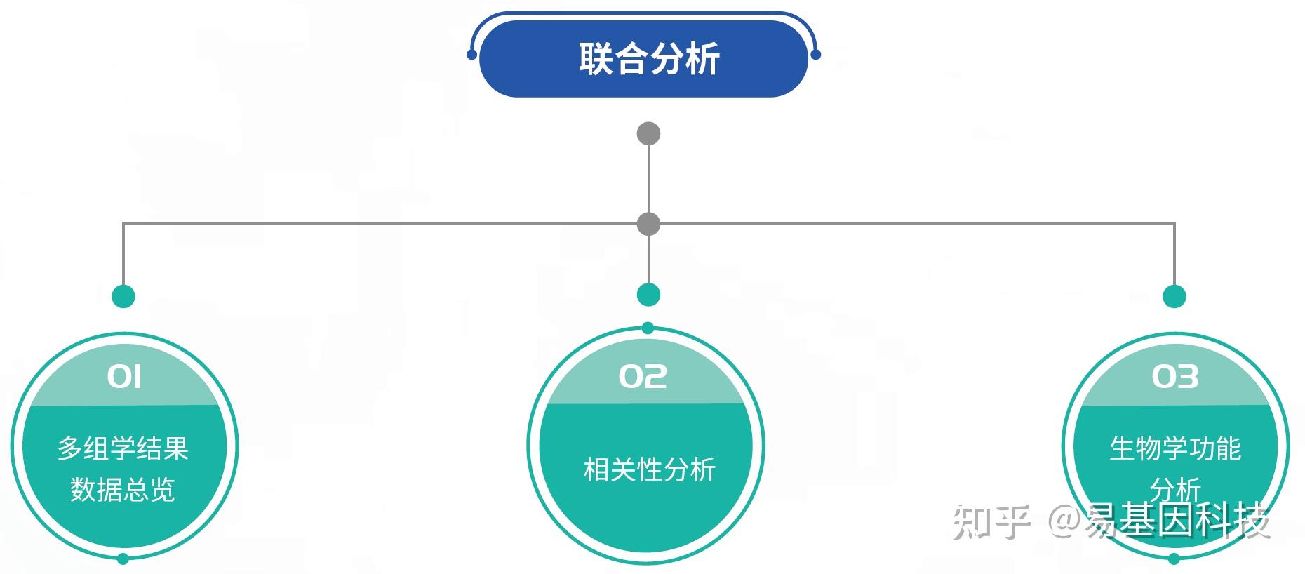 v2-c48ab15ebf31525e9d135ea07b72e395_r.jpg