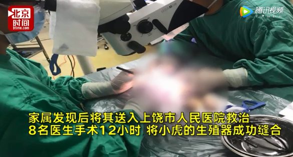 难道,女人,就一定要娇小柔弱,温柔贤惠,相夫教子度过一生?
