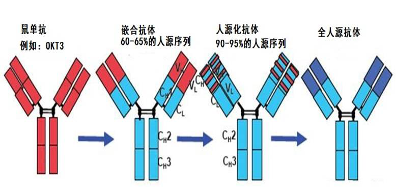 ivd研发人员的新晋神器丨人源化抗体