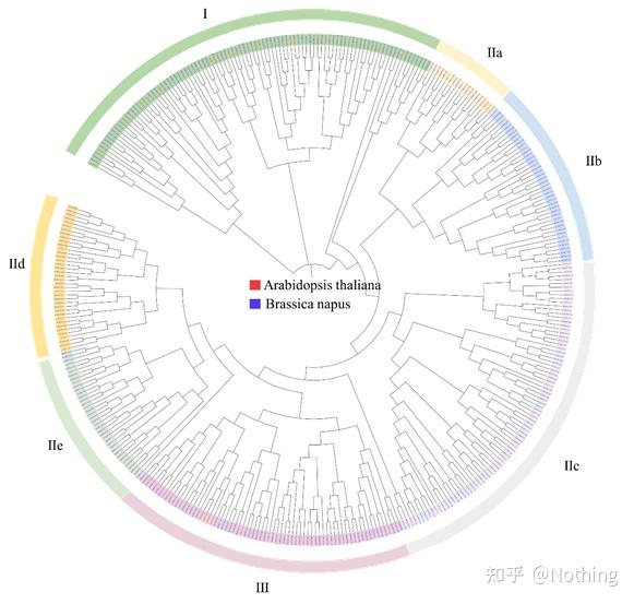 组学-基因组、转录组、蛋白组、生信分析都有哪些内容?(一) - 知乎