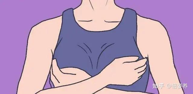 女生的胸部,到底有多少种“型号”?究竟哪种的最好? - 知乎