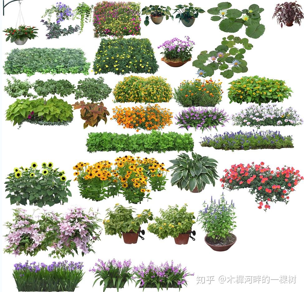 自然艺术花境设计素材