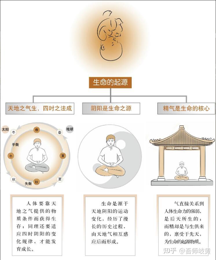 中医哲学思想体系---精气学说 - 知乎