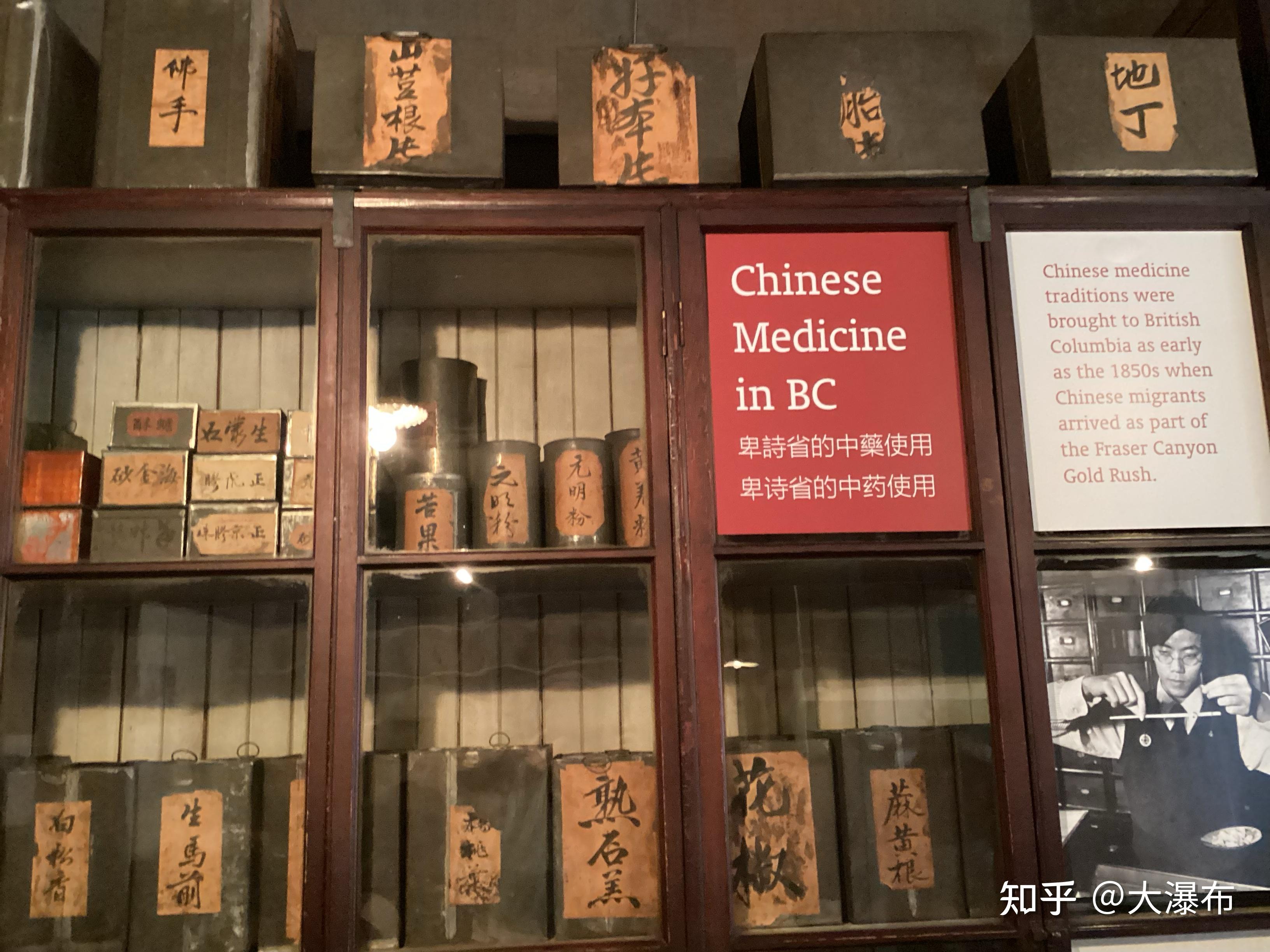 扎根温哥华的中药店 - 知乎