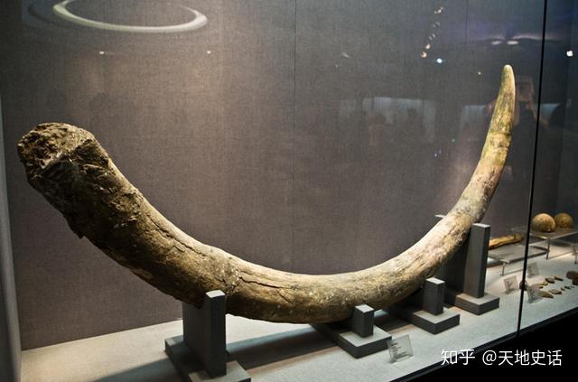 洛阳博物馆文物图片大全 v2-c4d7f6b346151c03d6ec425ec9de7539_r.jpg