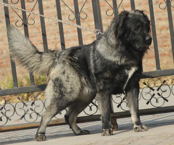v2-c4dd86673ad7fe9880ffdbdaf637fa8c_1440w.jpg?source=172ae18b