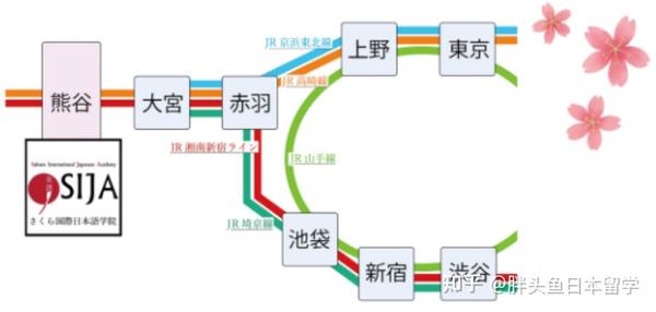 Sija樱花国際日本語学院 就职辅导全面课外活动丰富可推荐入学的语言学校 知乎