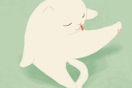 低调这也正是他的聪明之处因为他知道枪打出头鸟活到最后才是硬道理