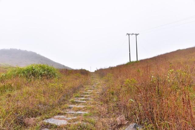 古驿道图鉴①远芳侵古道寻觅山林间