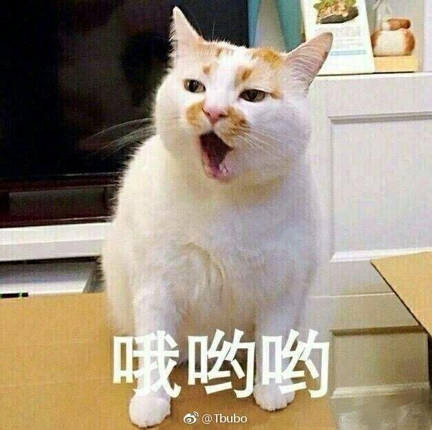 v2-c4e90d66b7dffd9ef5263cd9768ebfe2_r.jpg