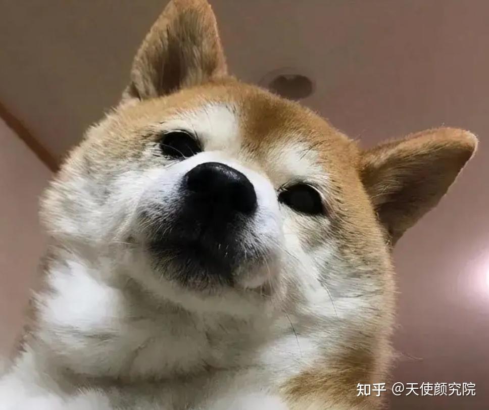 郑秀妍这段太蛊了吧!芒果台怎么能删了不播??!(郑秀妍签约英皇)