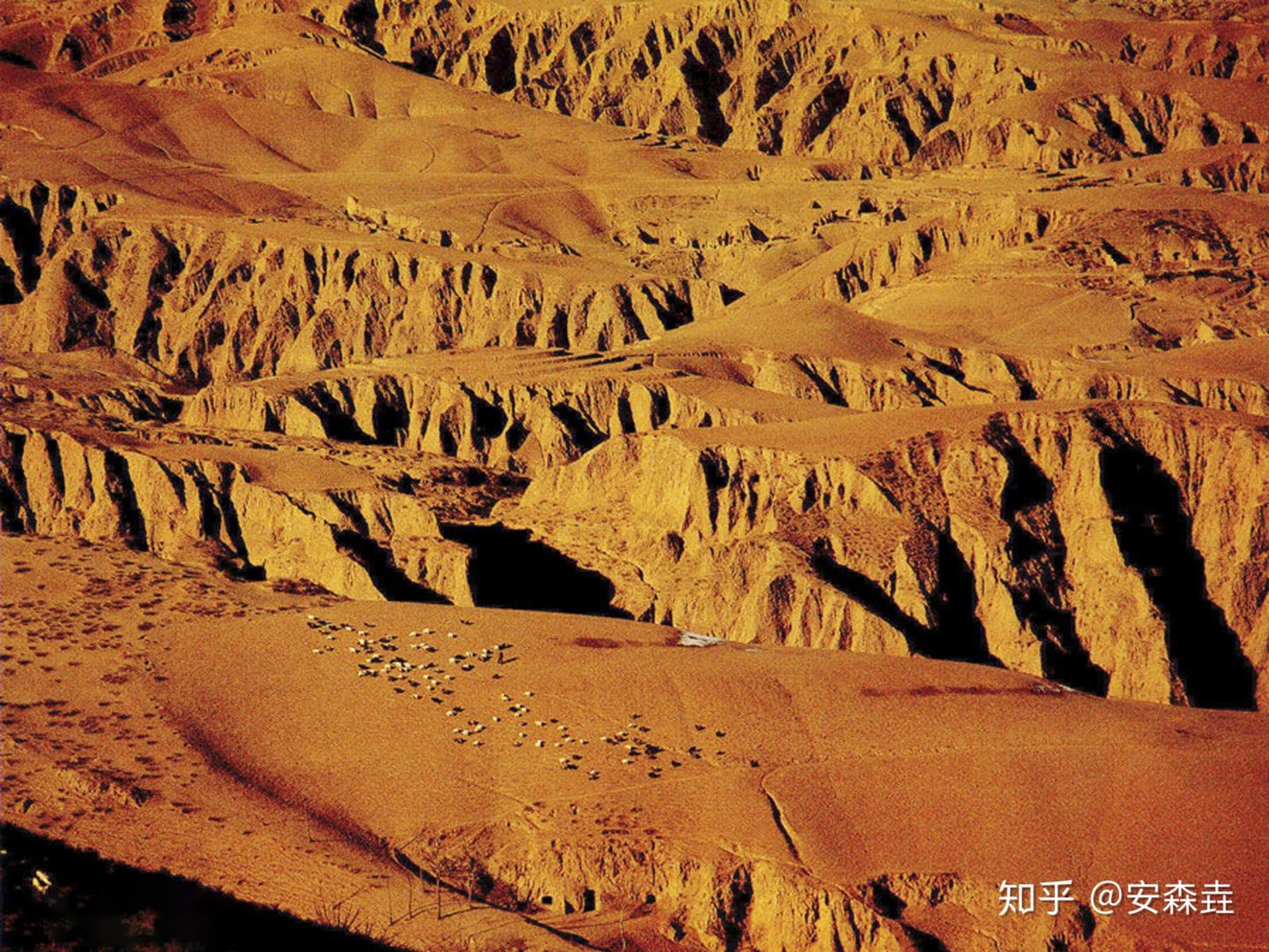 图 5:黄土高原以及周边常见地貌「塬」