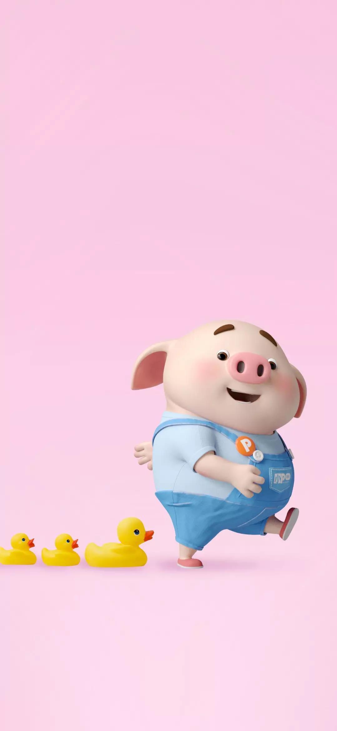 hi维修 | 2019年生肖萌猪壁纸,萌到犯规~ - 知乎