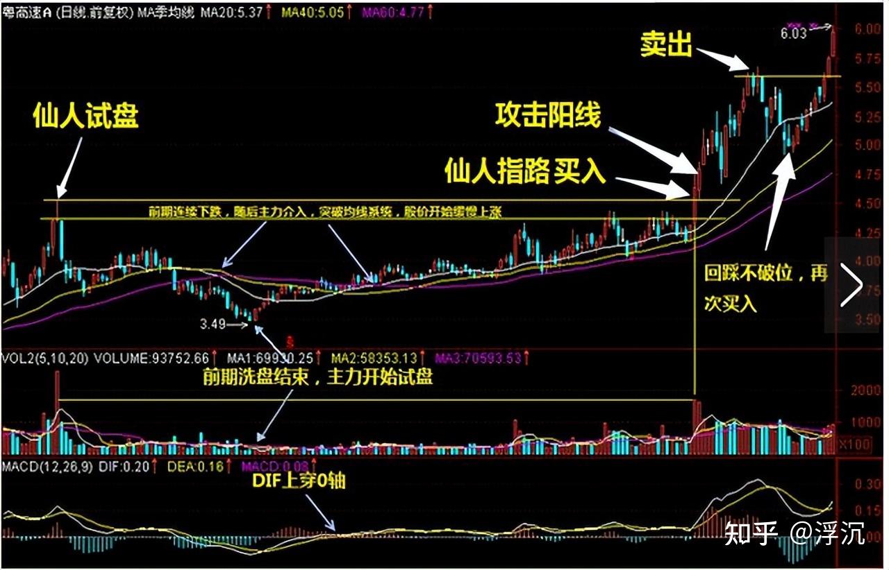 今日行情！股票门户网“颂声载道”