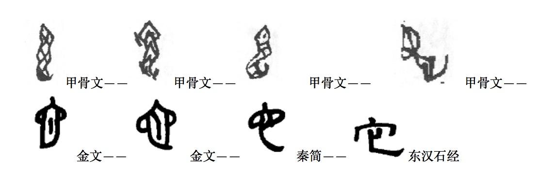 它 是一条吐着信子的 知乎 它 是一条吐着信子的 知乎