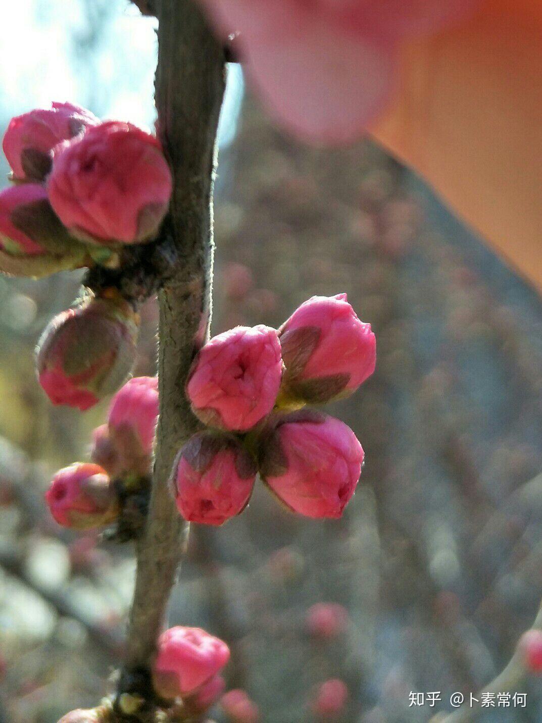 何看待沈阳奥体中心地铁口流动商贩冒充学生强