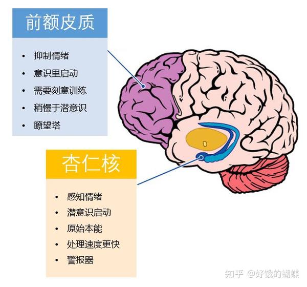 情绪教育——情绪如何作用于我们的生活 - 知乎