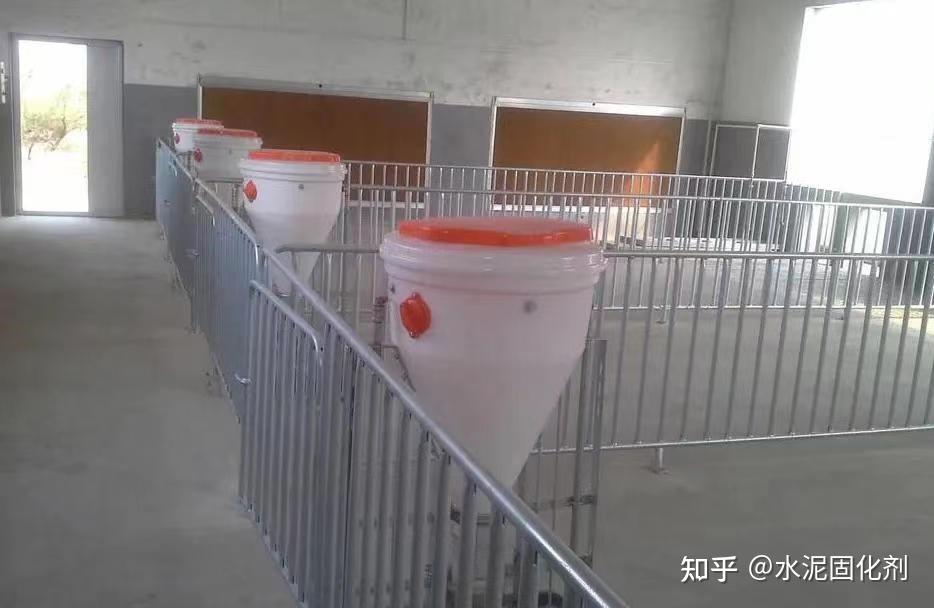 【养猪场猪舍建设中的高温高湿】养猪场猪舍环境的高温高湿对猪的生长有什么样的影响呢? 知乎