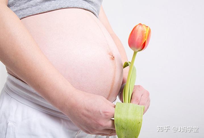 多少斤可以做试管婴儿 v2-c5316e5ac825372b0d203951b3533a4d_r.jpg