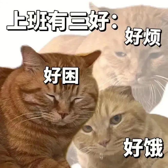 500张最近热门的表情包!持续更新 - 知乎