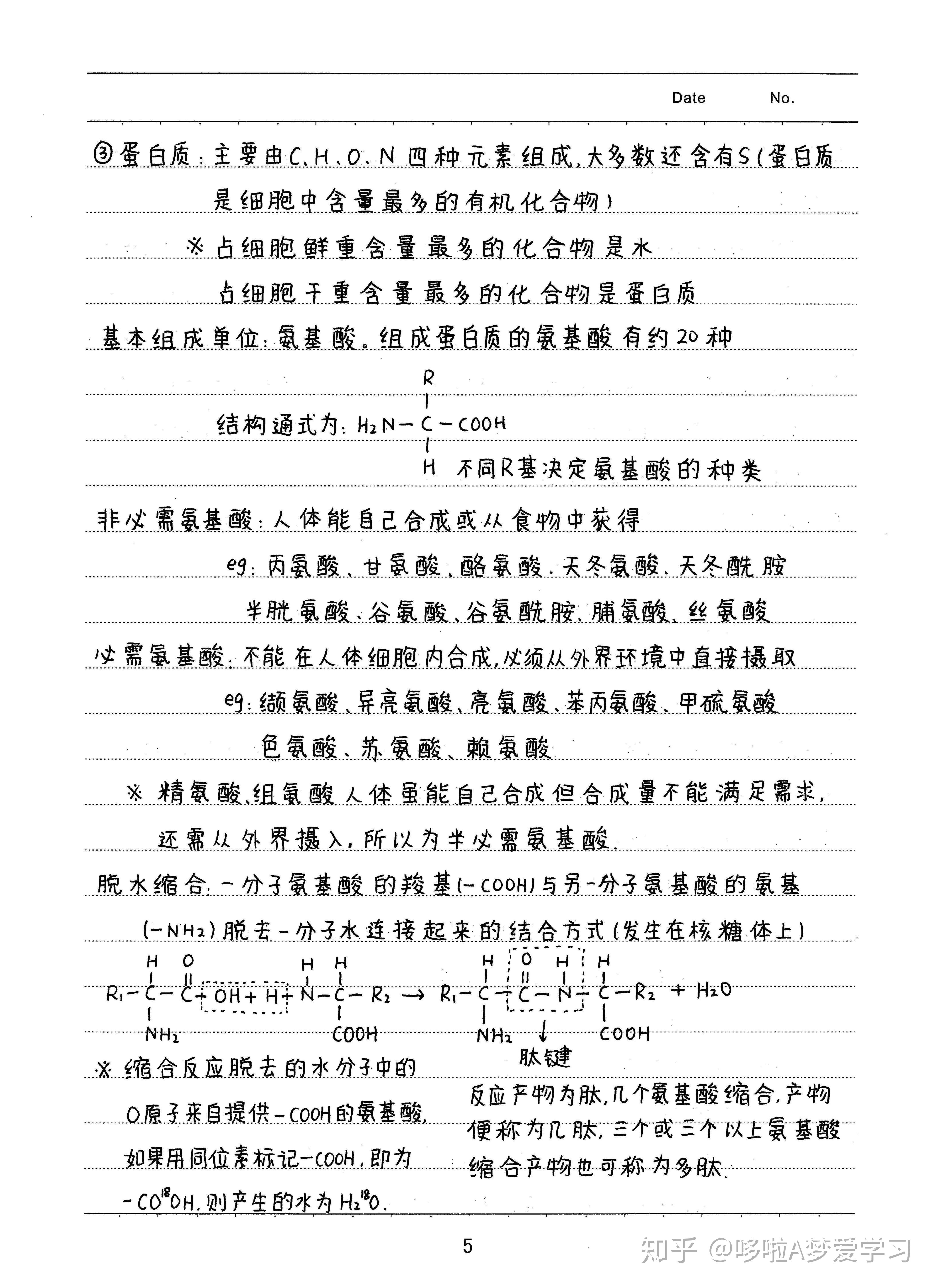 不愧是状元!衡中学霸生物笔记(纯手写),比教材还全!不可错过