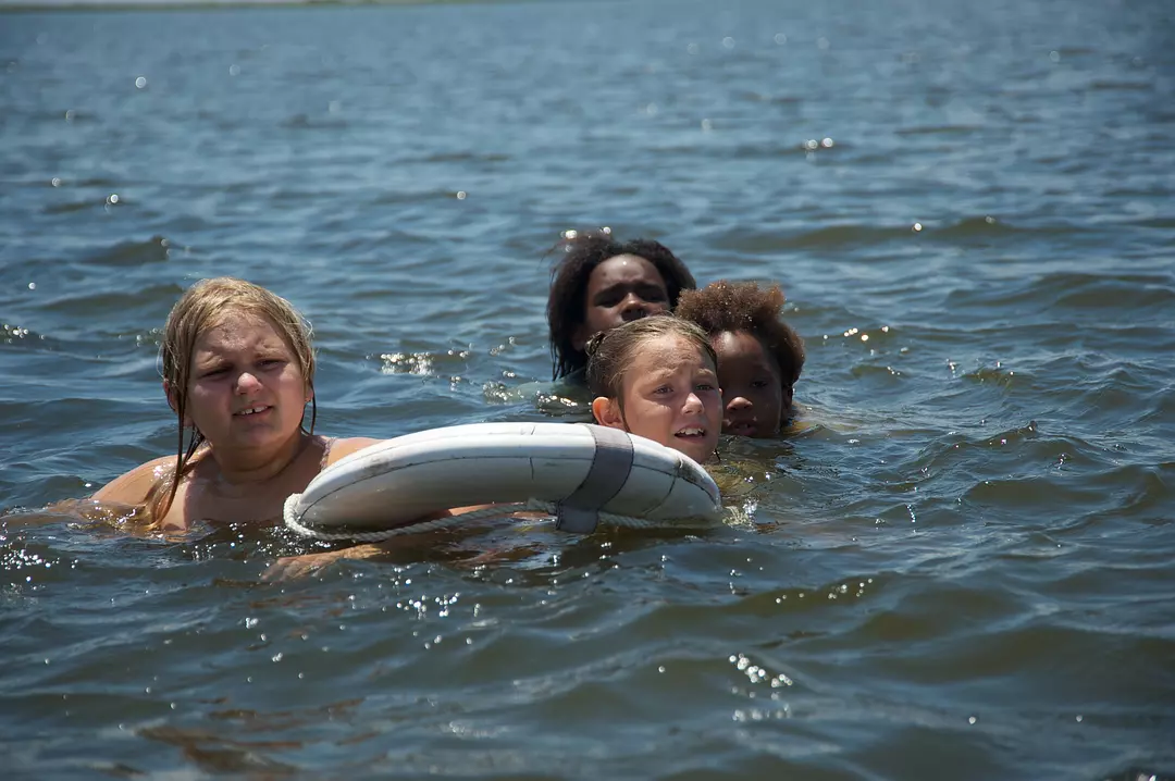 《南方的野兽》片中四头野牛究竟代表什么?