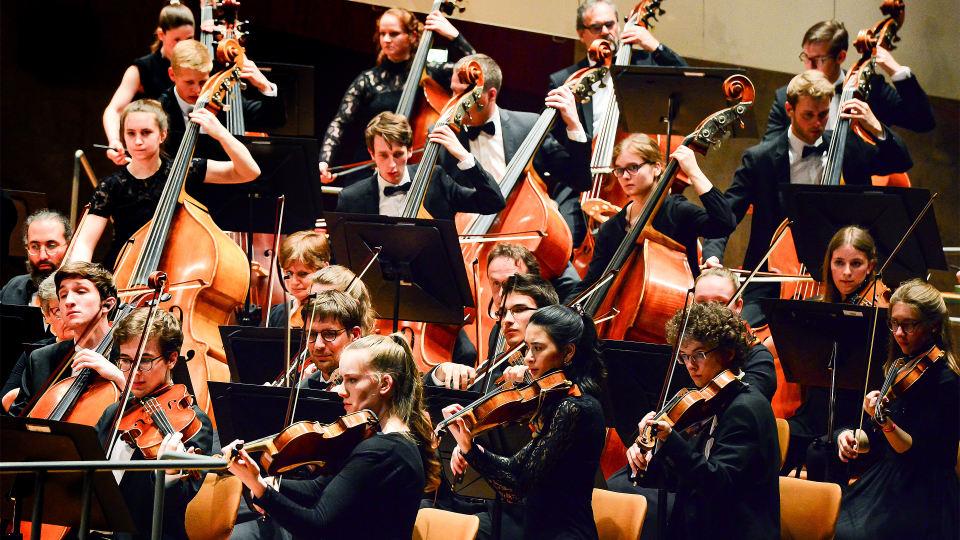 doublebass也称为"低音大提琴",它属于"提琴家族".