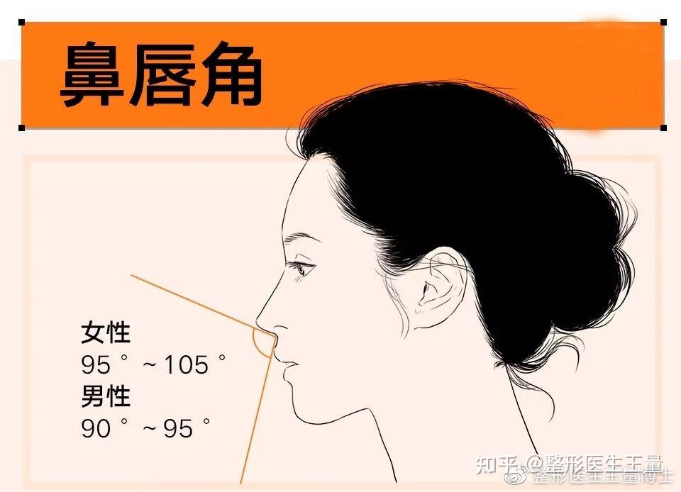 怎样的鼻子才好看?全都藏在这些细节里 - 知乎